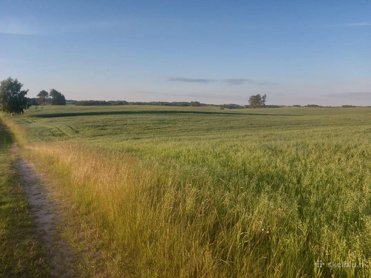 Žemė Baršėnuose - nuotraukos Nr. 2