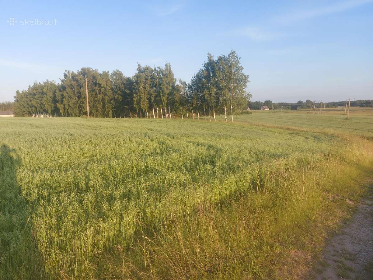 Žemė Baršėnuose - nuotraukos Nr. 3