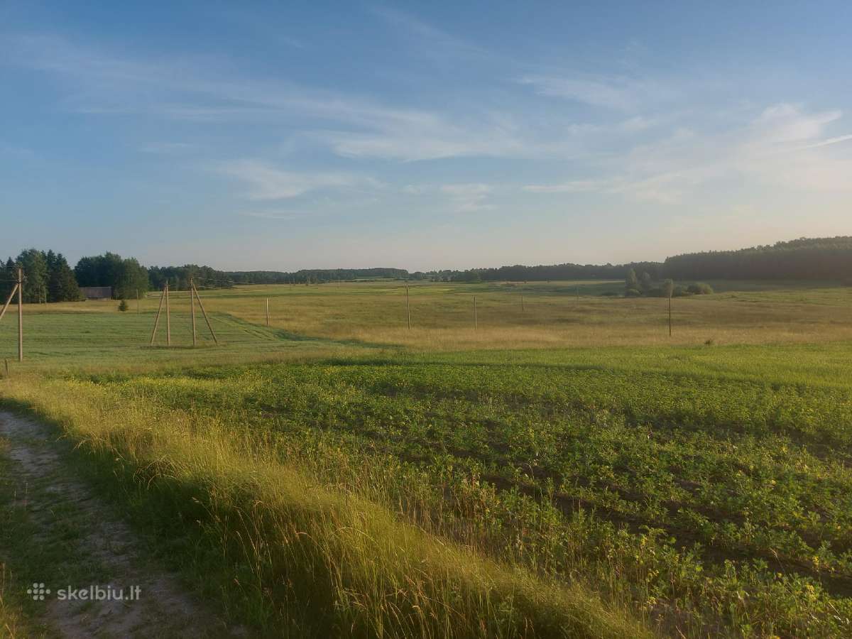 Žemė Baršėnuose - nuotraukos Nr. 4