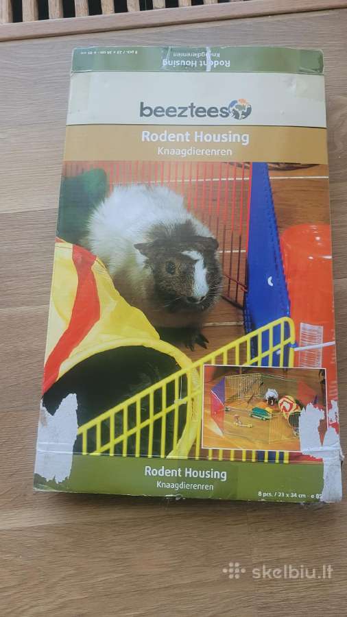 Aptvaras jūros kiaulytes, triušiukui.