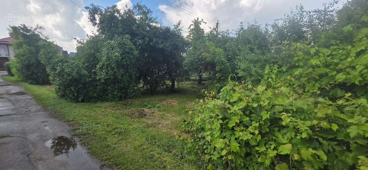 Parduodamas namas su žeme Rokiskyje - nuotraukos Nr. 14