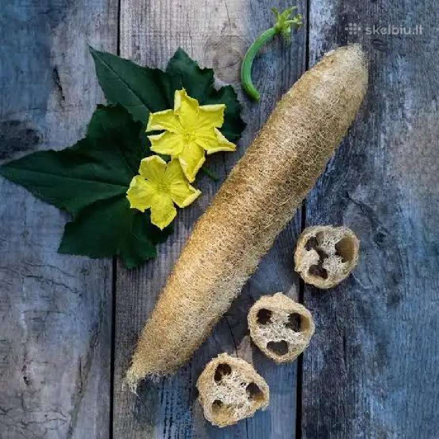 Luffa sėklos perteklius