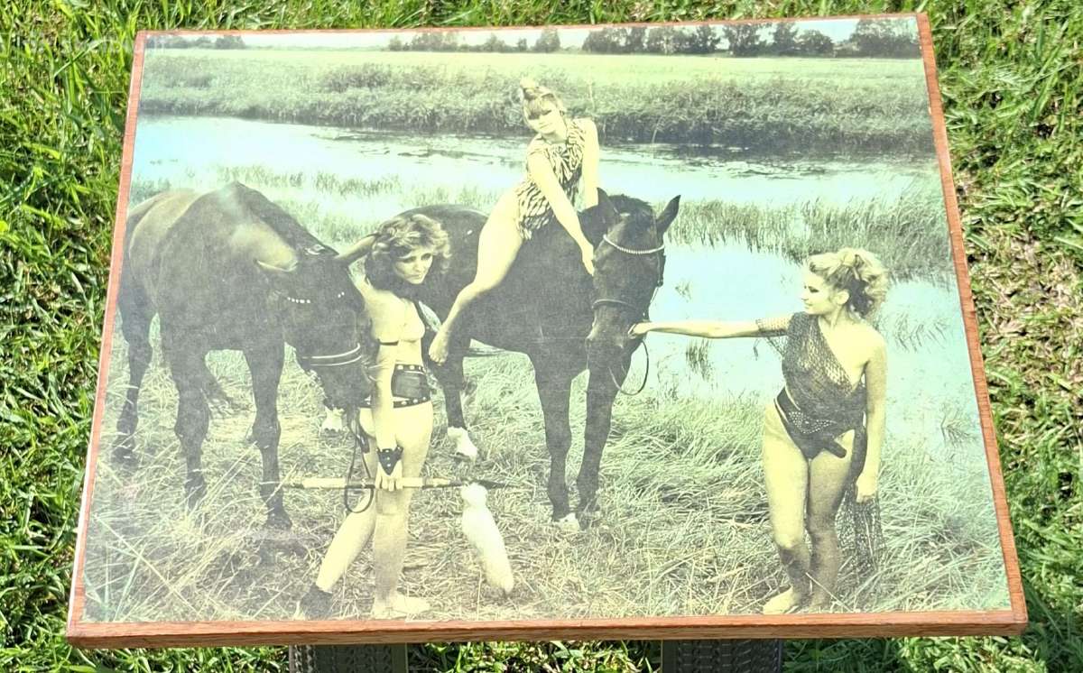 Senovinis tarybinių laikų pakabinamas paveikslas