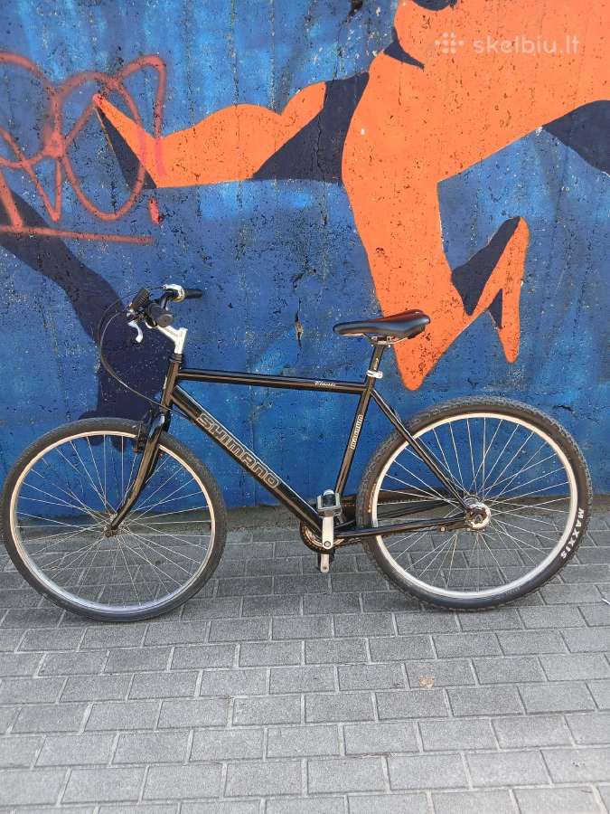 Dviratis Classic Magnum
