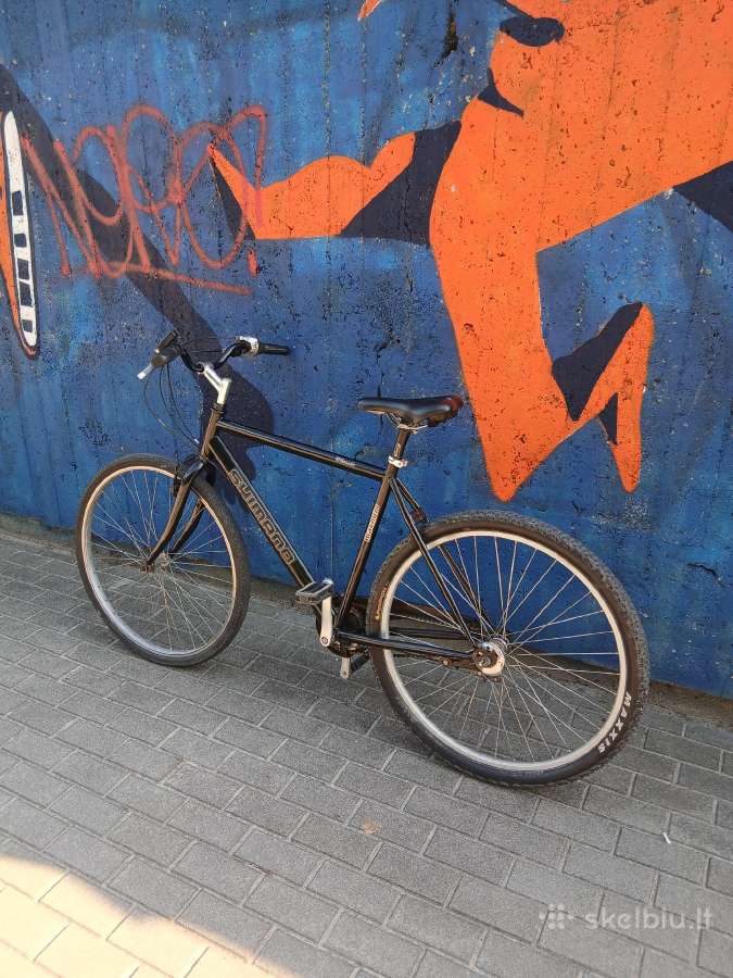 Dviratis Classic Magnum - nuotraukos Nr. 2