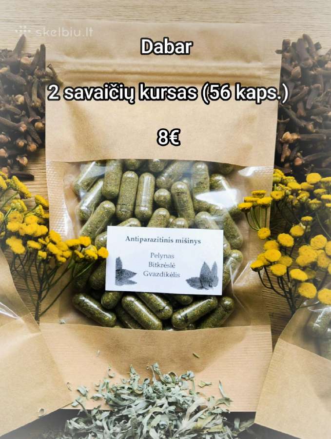 Gauromečio arbata, "Ivan chai". Gaurometis. - nuotraukos Nr. 8