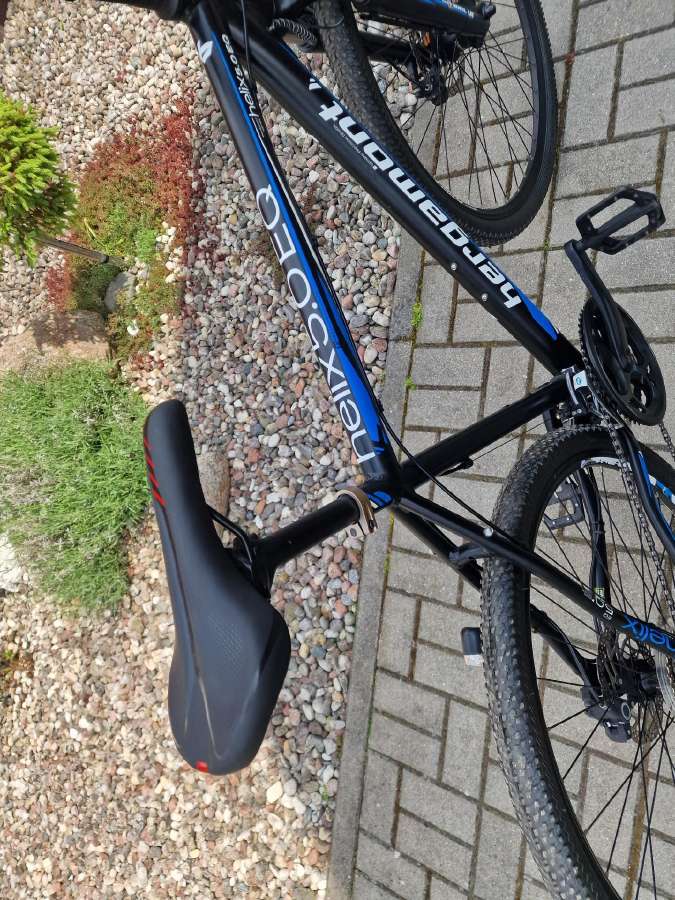 Bergamont 29er - nuotraukos Nr. 5