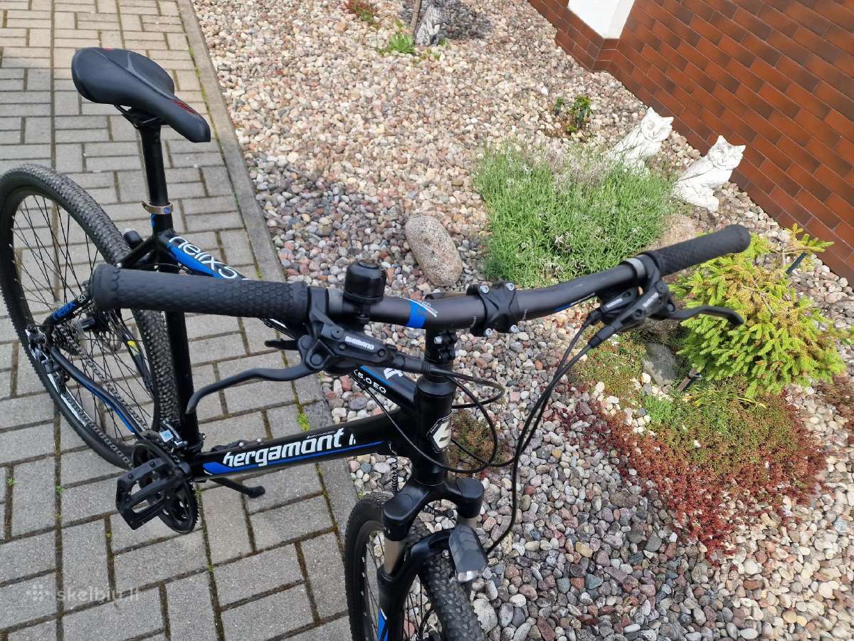 Bergamont 29er - nuotraukos Nr. 8