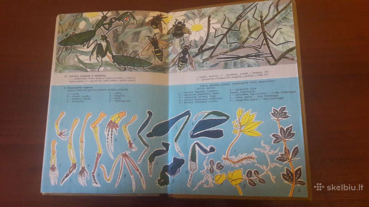 Bendroji Biologija 10-11 klasei. - nuotraukos Nr. 2