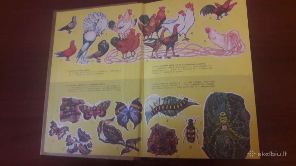 Bendroji Biologija 10-11 klasei. - nuotraukos Nr. 3