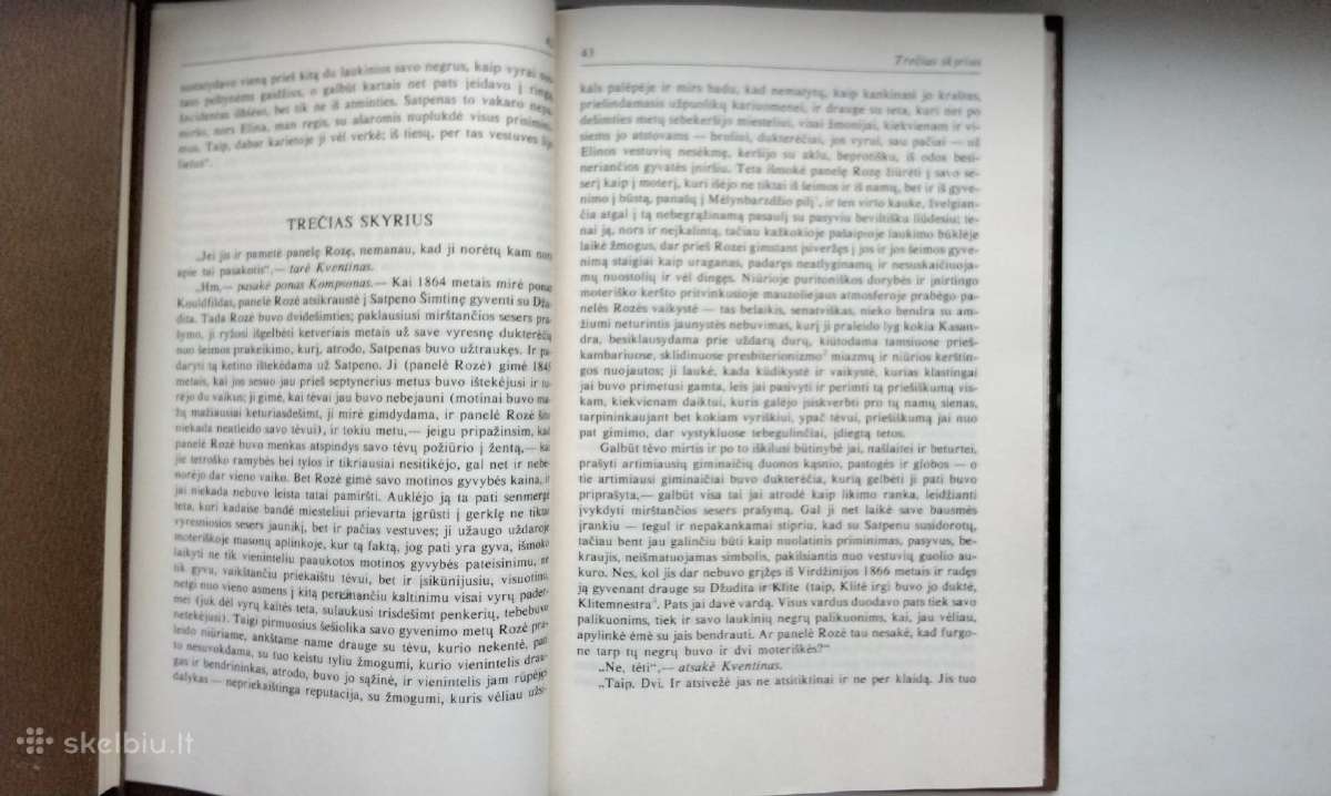 V. Folkneris. Absalomai, Absalomai! 1989 m. leid. - nuotraukos Nr. 6