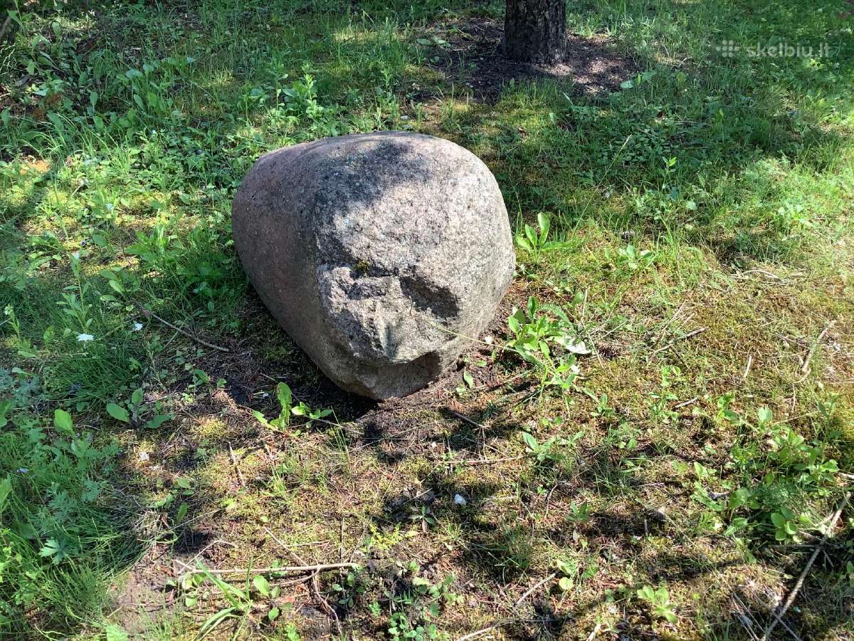 Dovanoju akmenis kiemui,sodybai papuošti - nuotraukos Nr. 4