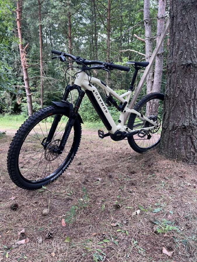 Elektrinis dviratis Raymon Trailray 140e 10.0 Se