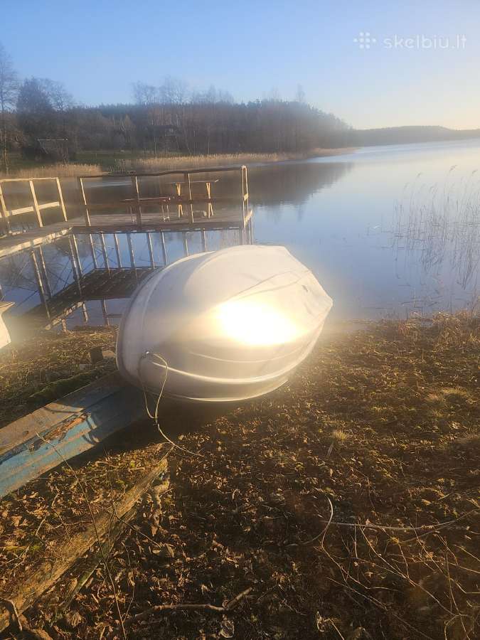 Parduodu valti Terhi suni su varikliu - nuotraukos Nr. 3