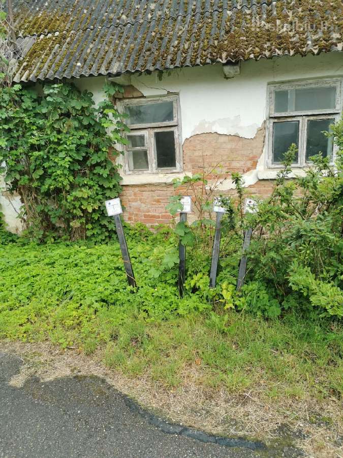 Parduodamas namų valdos sklypas Virbalyje - nuotraukos Nr. 2