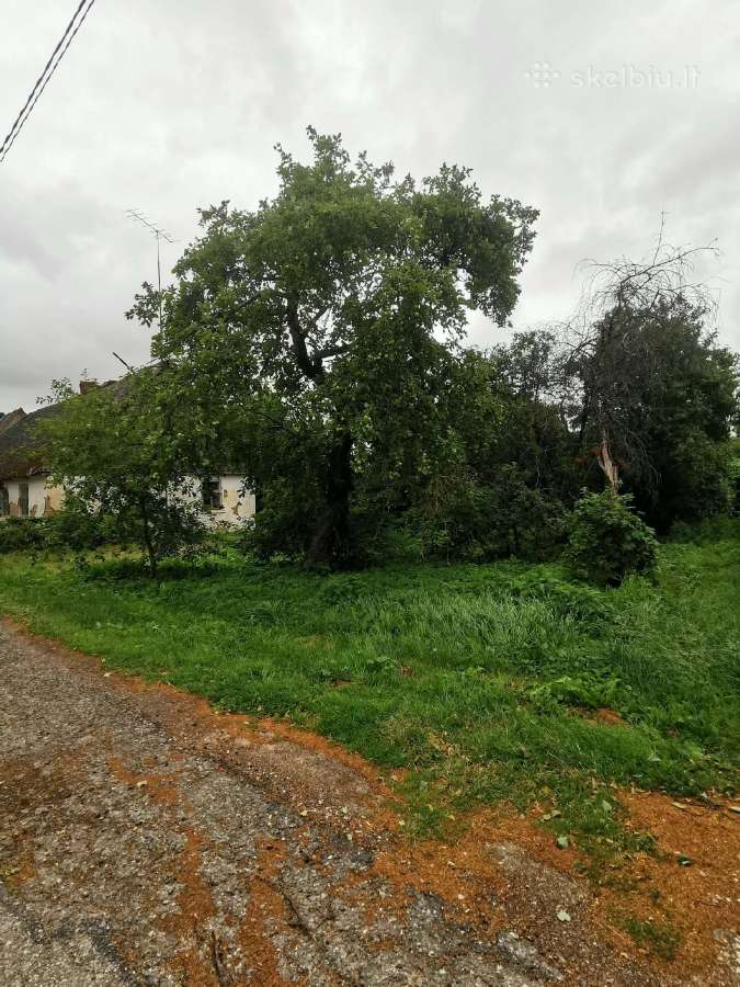 Parduodamas namų valdos sklypas Virbalyje - nuotraukos Nr. 5