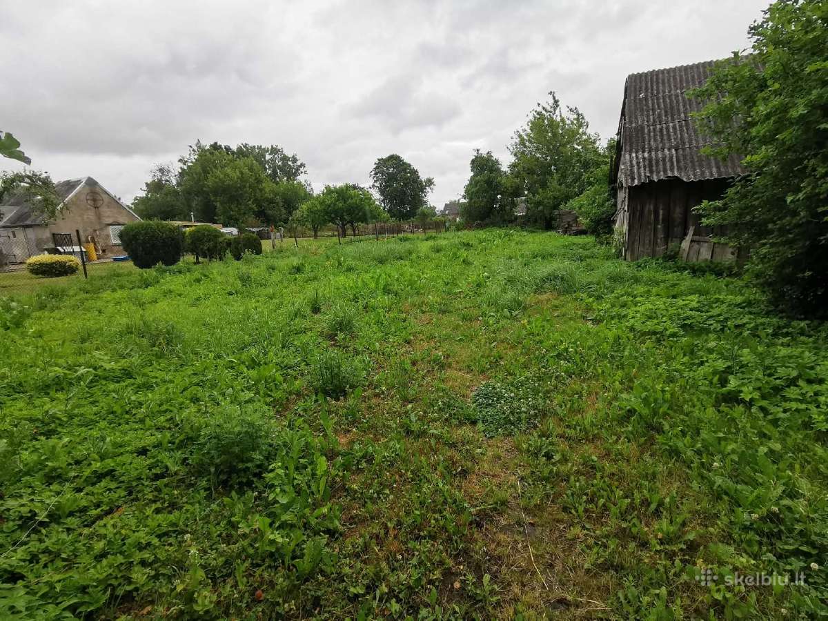 Parduodamas namų valdos sklypas Virbalyje - nuotraukos Nr. 6