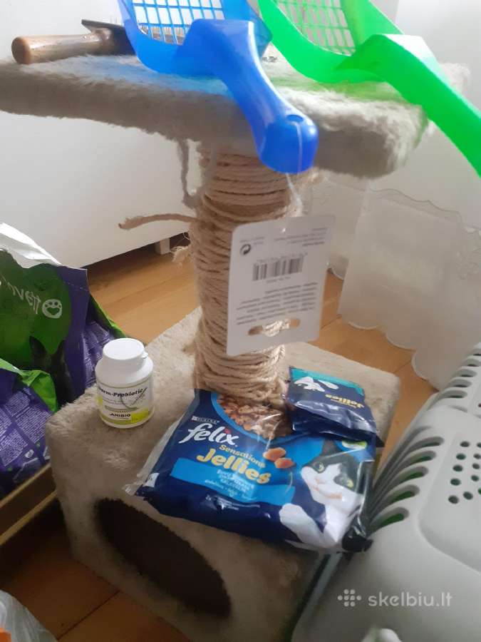 Maistas ir visos kitos prekės katėms - nuotraukos Nr. 5