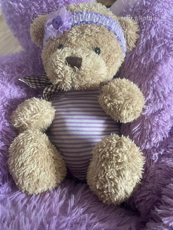 Miskiukas zaisliukas/teddy toy