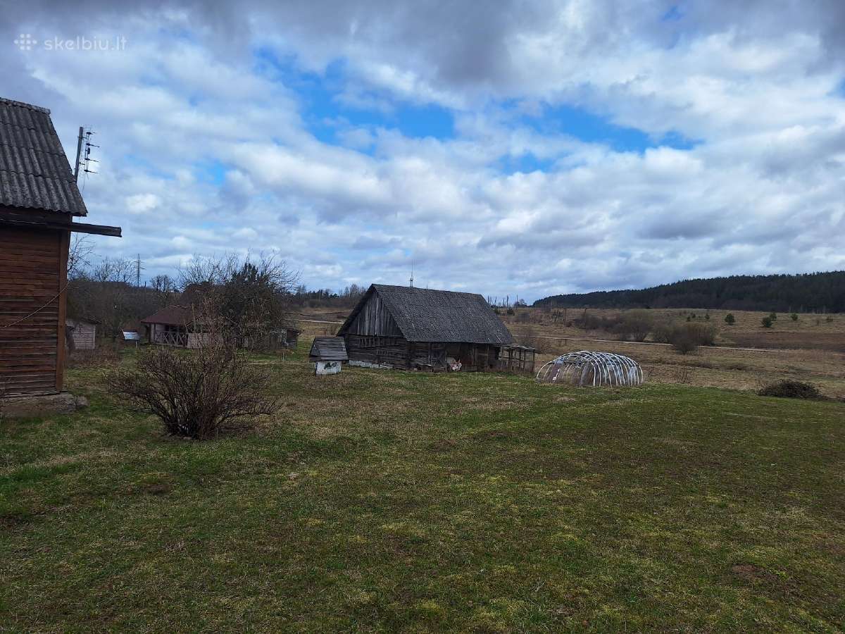 Parduodu sodyba - nuotraukos Nr. 17
