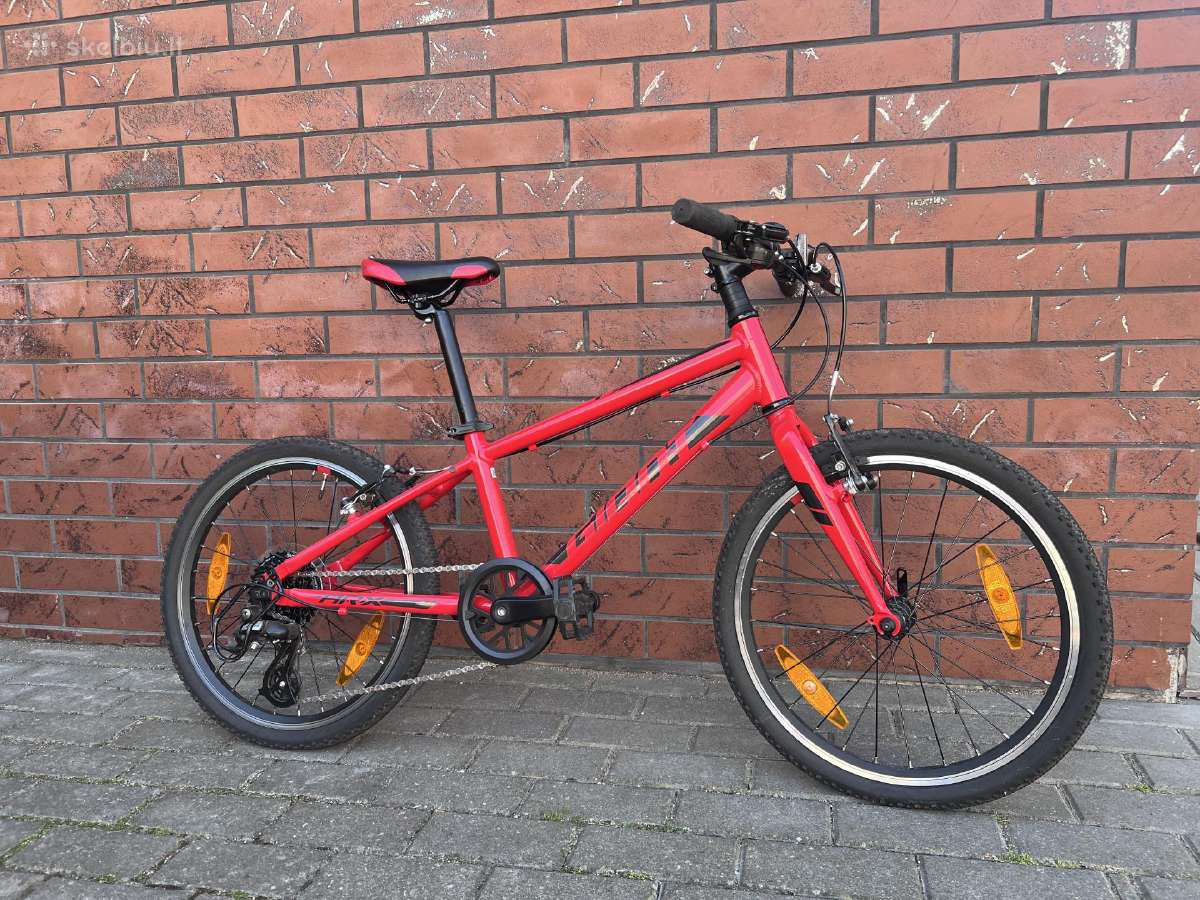 Giant Arx20 dviratis
