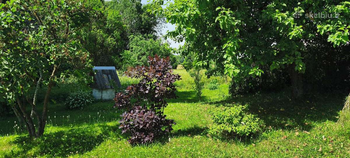 Sodyba prie upės su 5,96 ha žemės - nuotraukos Nr. 9