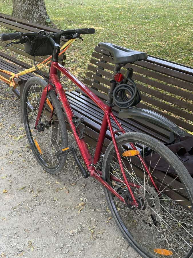 Trek Fx 1 - nuotraukos Nr. 3