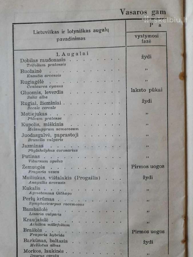 Prieškario knygelė "Stebėkime gamtą" - nuotraukos Nr. 5