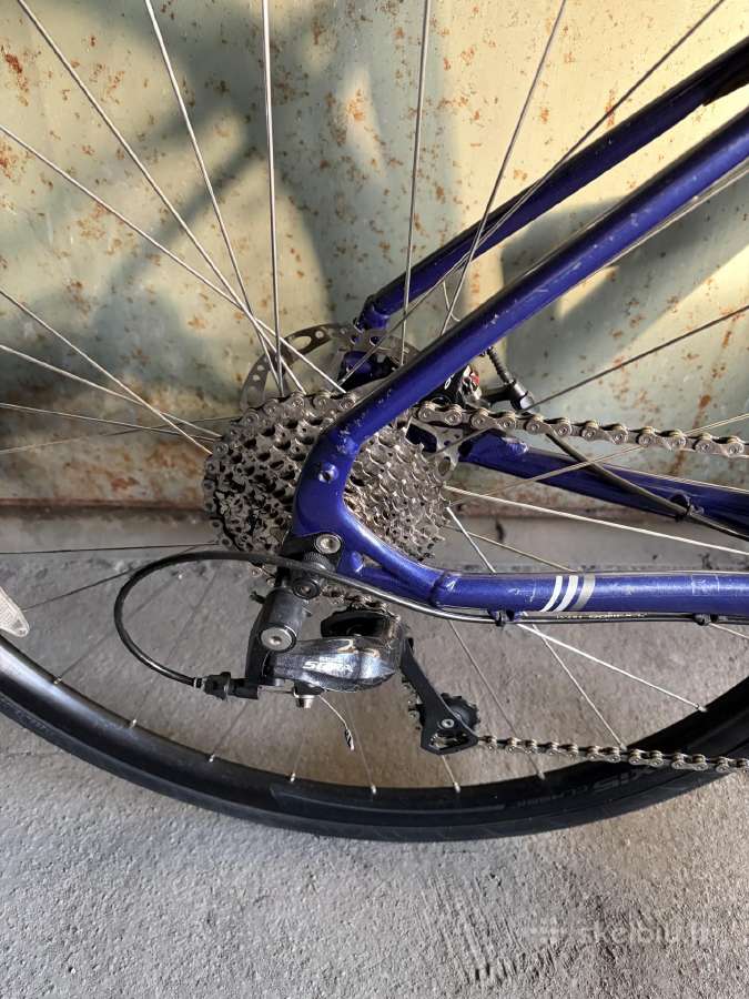 Specialized dolce EVO - nuotraukos Nr. 5