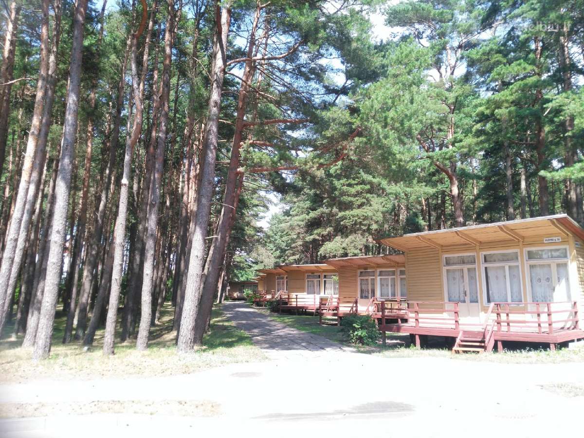 Nameliai Šventosios pušyne ir Visuomet pigiau !