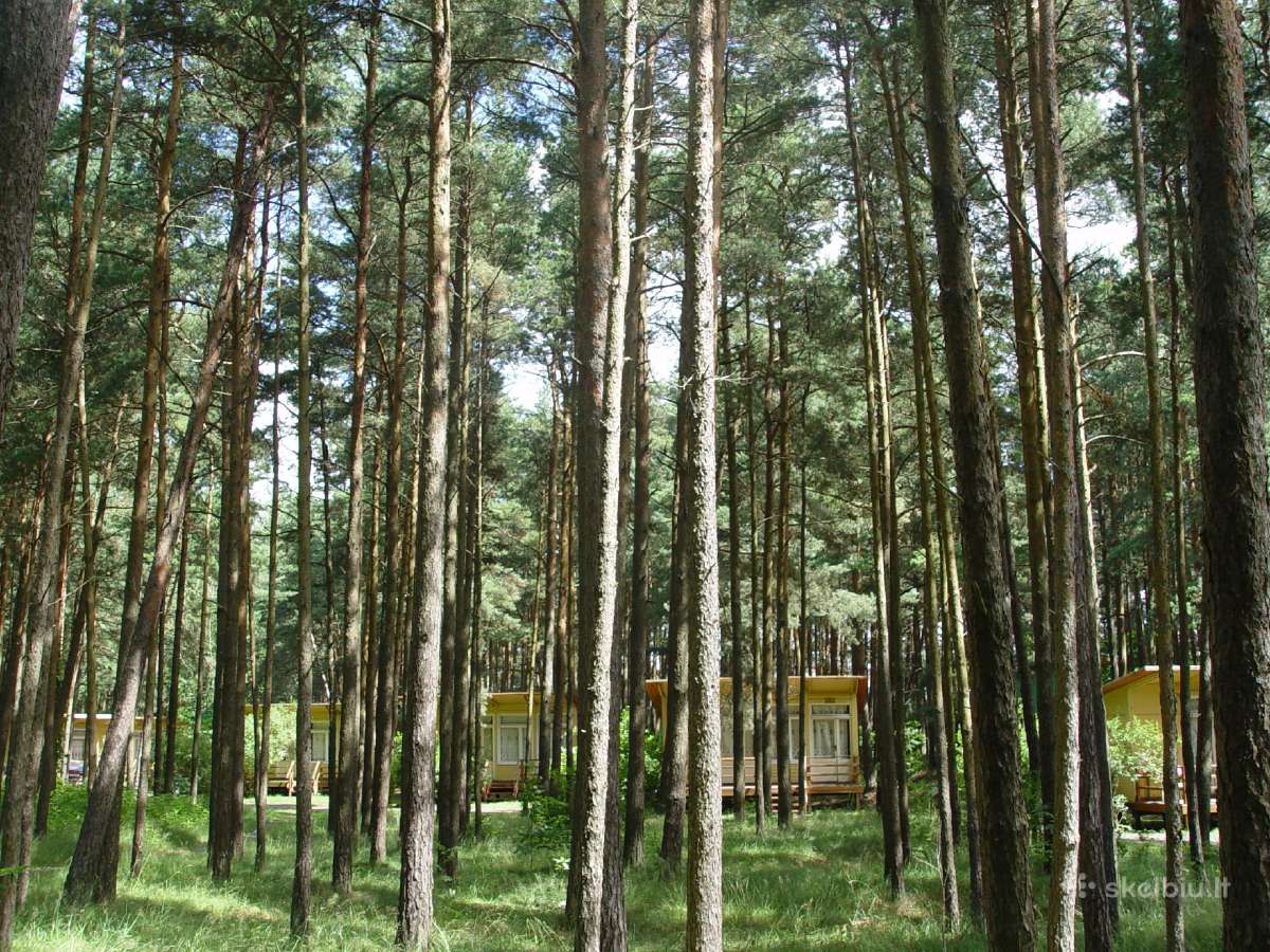 Nameliai Šventosios pušyne = Be Kaimynų ! - nuotraukos Nr. 2