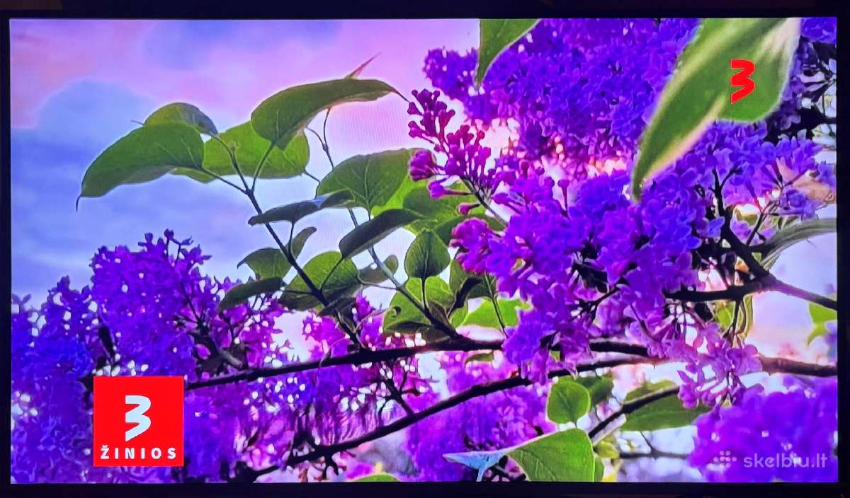 Televizorius Samsung Qled 4k Smart TV modelis - nuotraukos Nr. 2