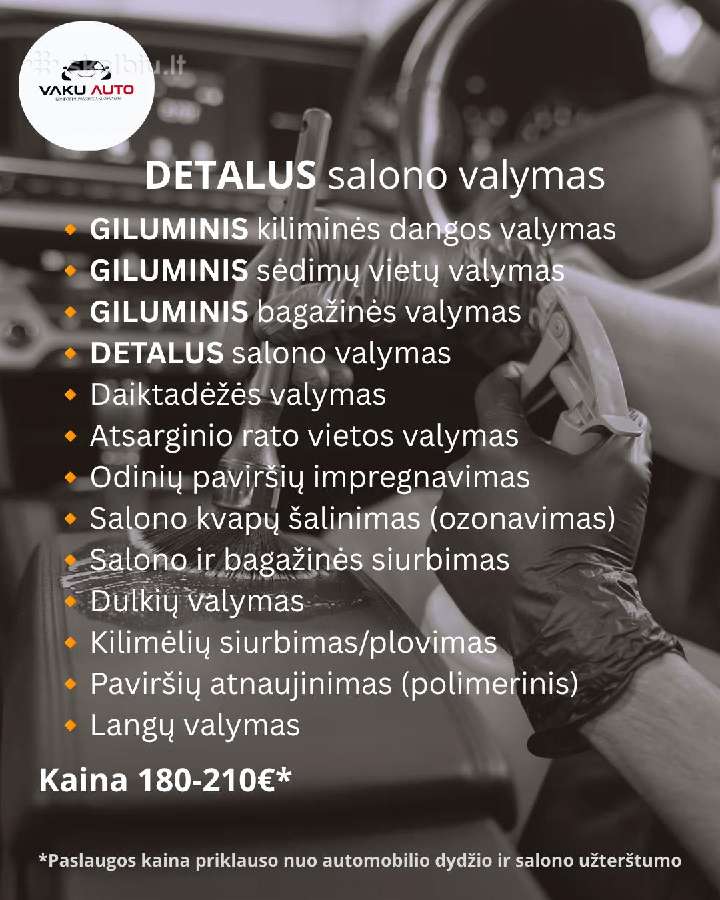 Cheminis ir detalus salono valymas "Vakuauto" - nuotraukos Nr. 4