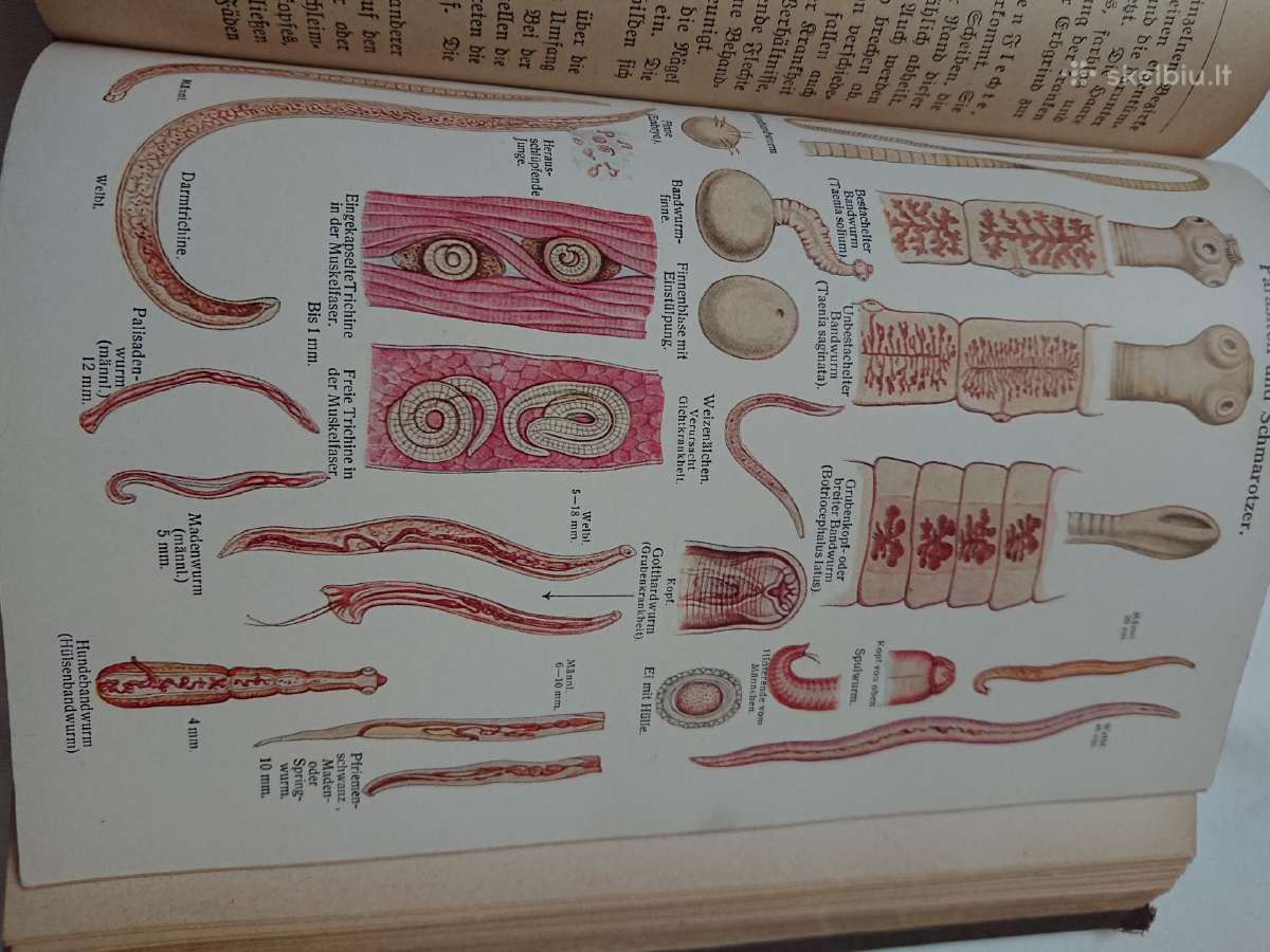Knyga 1923 metu, Gydytojas Namuose,vokieciu Kalba - nuotraukos Nr. 7