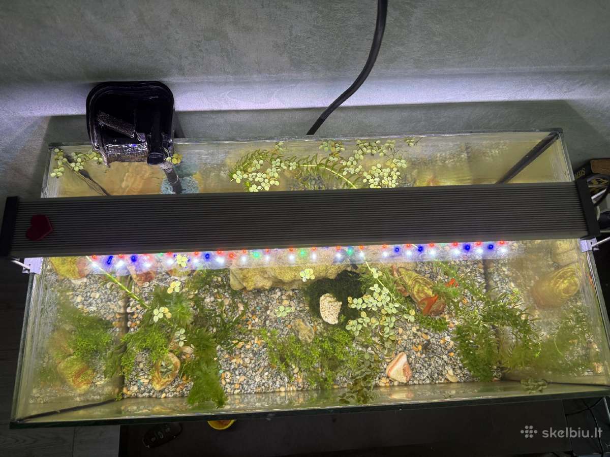 Akvariumas 72l - nuotraukos Nr. 2