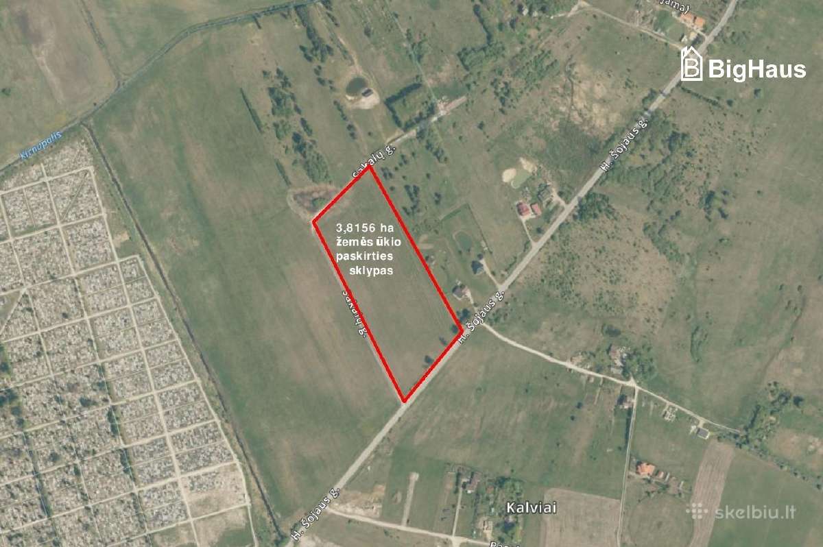 3,82 ha žemės sklypas netoli Klaipėdos m.