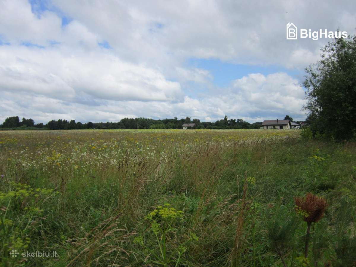 3,82 ha žemės sklypas netoli Klaipėdos m. - nuotraukos Nr. 12