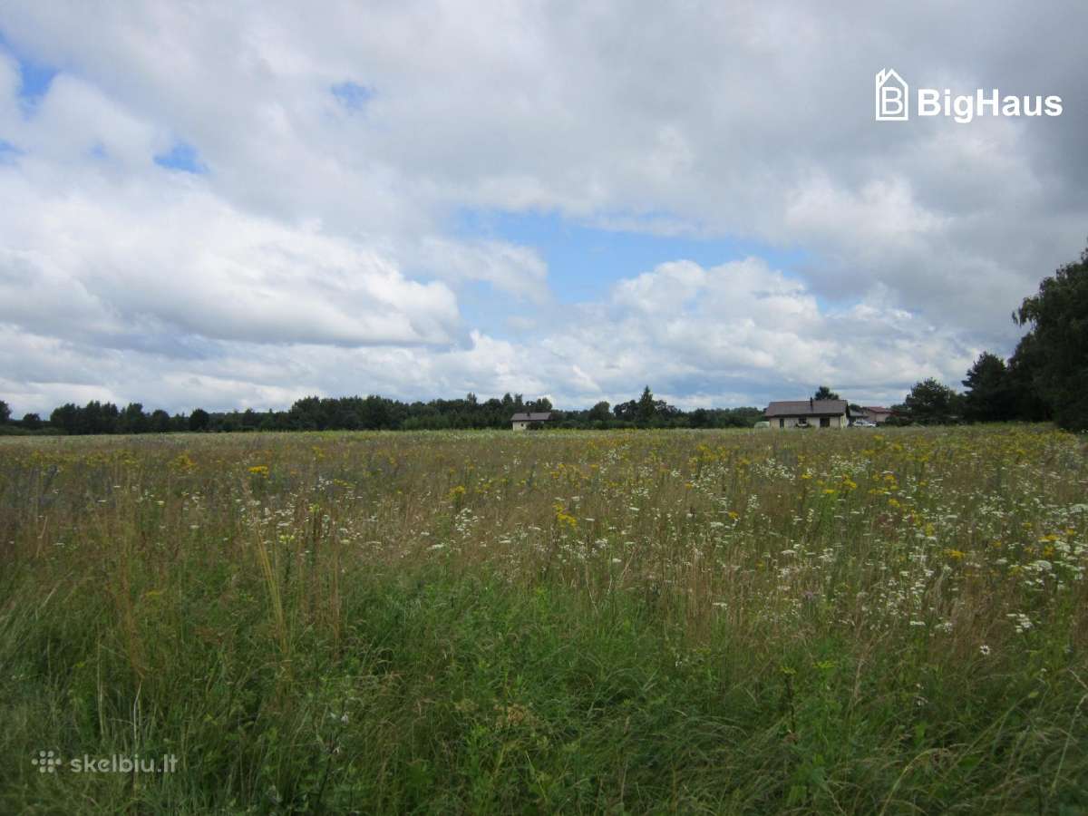 3,82 ha žemės sklypas netoli Klaipėdos m. - nuotraukos Nr. 13