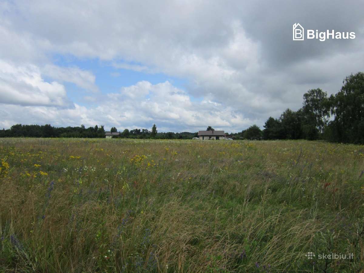 3,82 ha žemės sklypas netoli Klaipėdos m. - nuotraukos Nr. 14