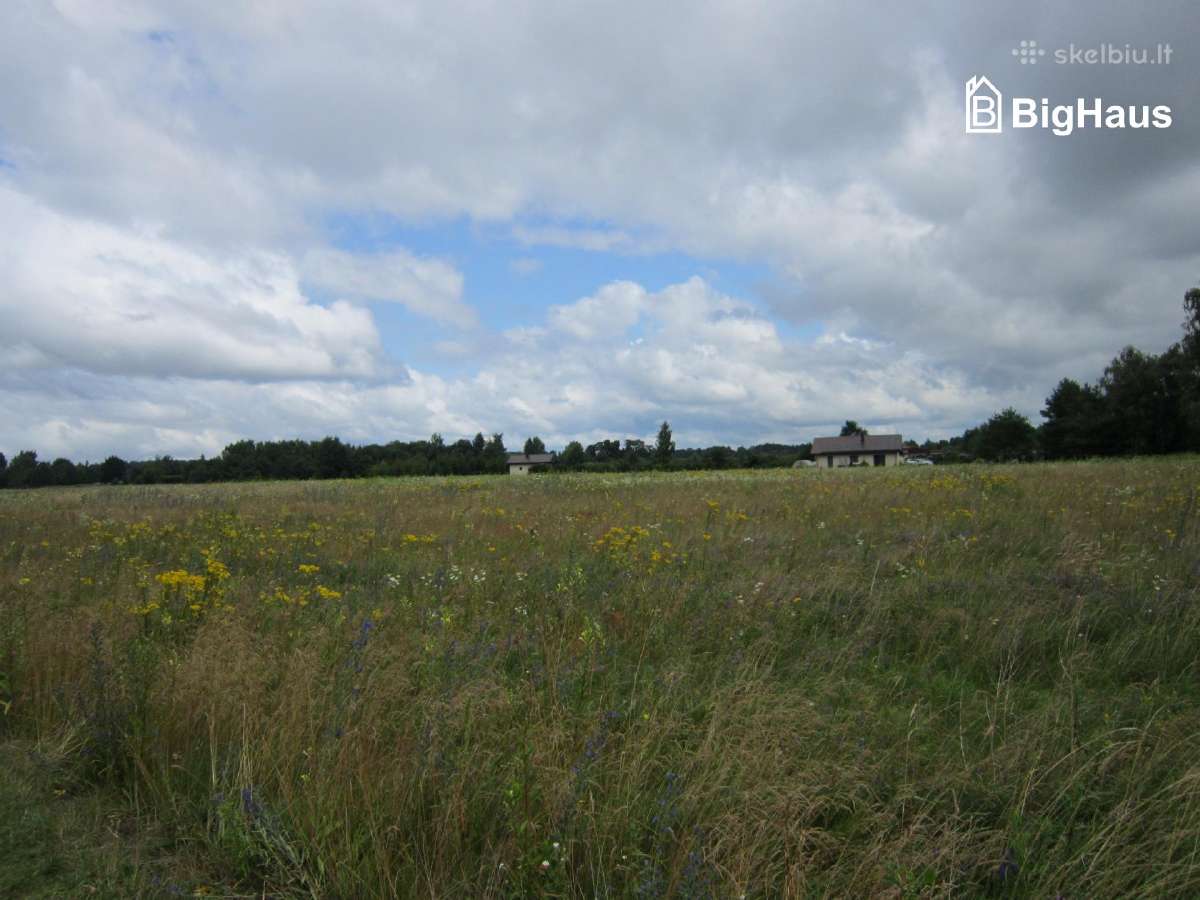 3,82 ha žemės sklypas netoli Klaipėdos m. - nuotraukos Nr. 15