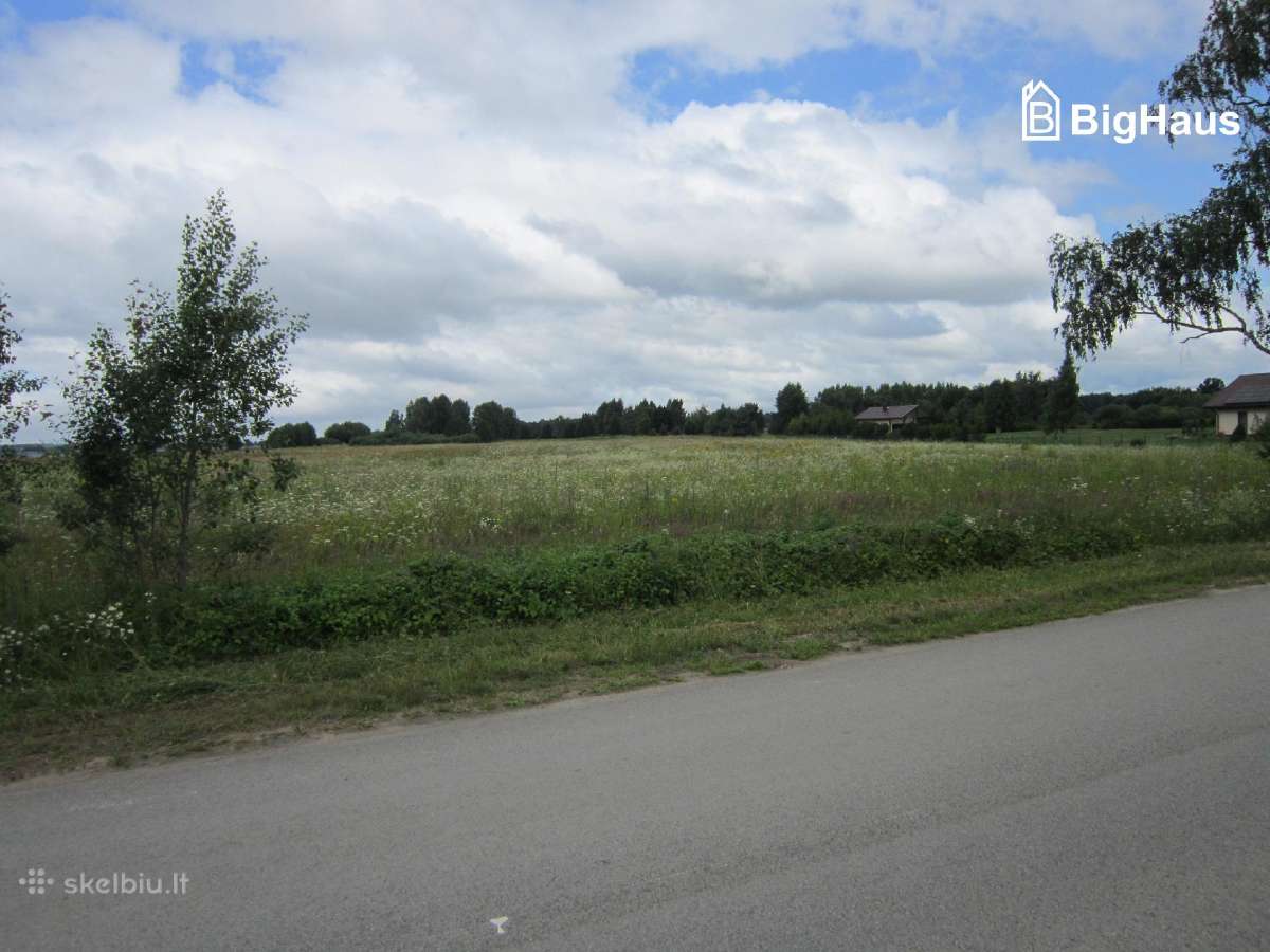 3,82 ha žemės sklypas netoli Klaipėdos m. - nuotraukos Nr. 19