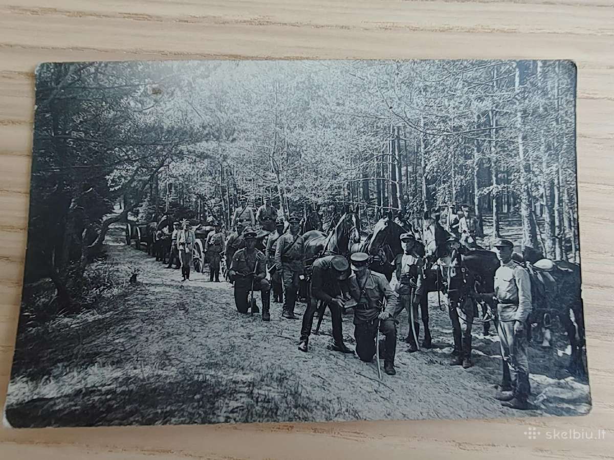 Lietuvos kariuomenė. Žygis. Manevrai. Gurguolė.