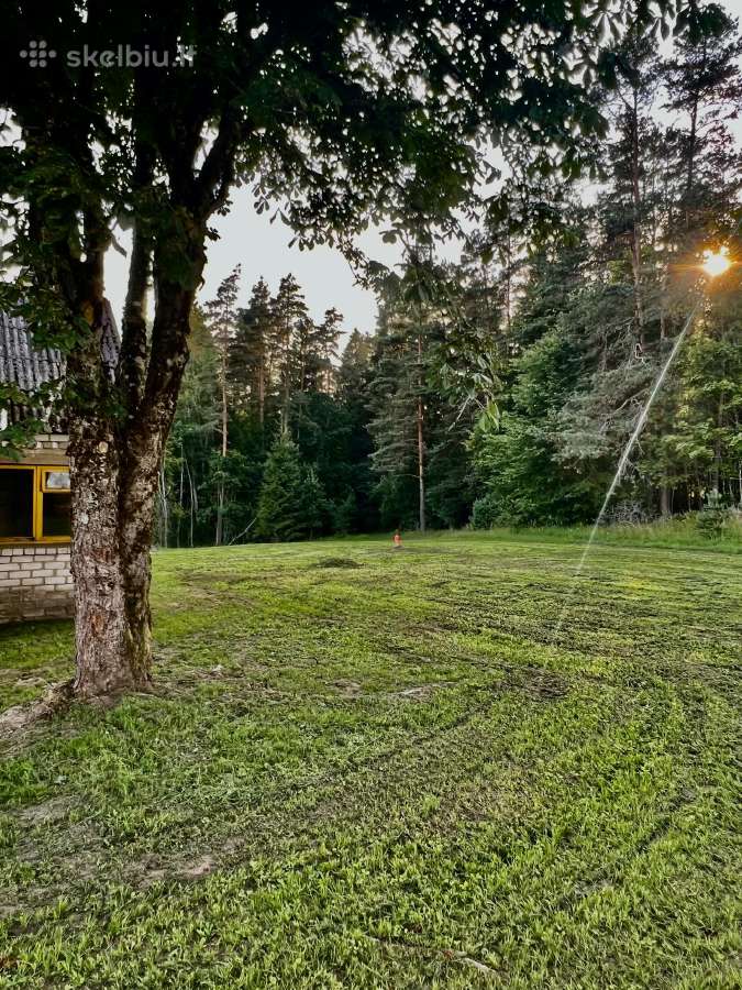 Sodyba su mišku ir žeme netoli Telšių - nuotraukos Nr. 6
