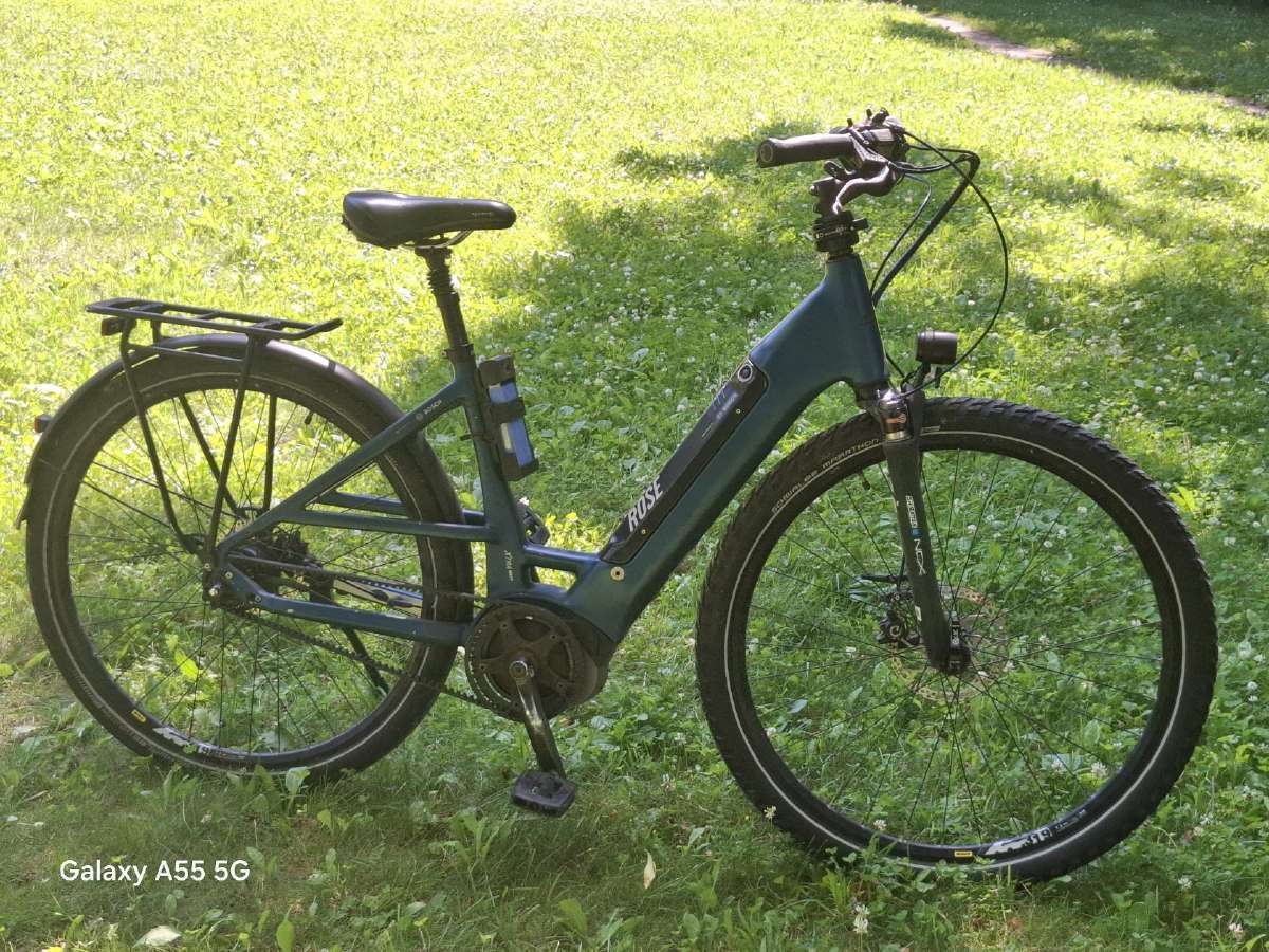 Elektrinis dviratis Rose Xtra Watt EVO Alfine 2019 - nuotraukos Nr. 2