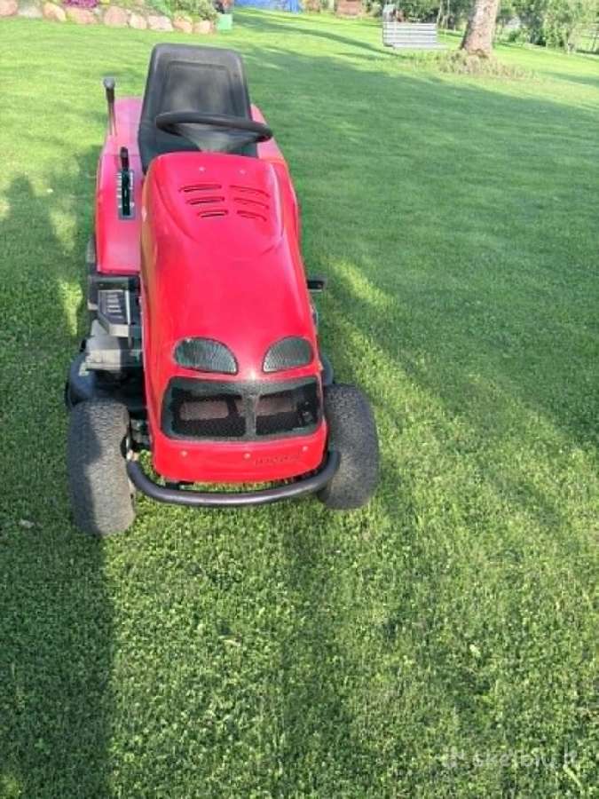 Lawn star - nuotraukos Nr. 2