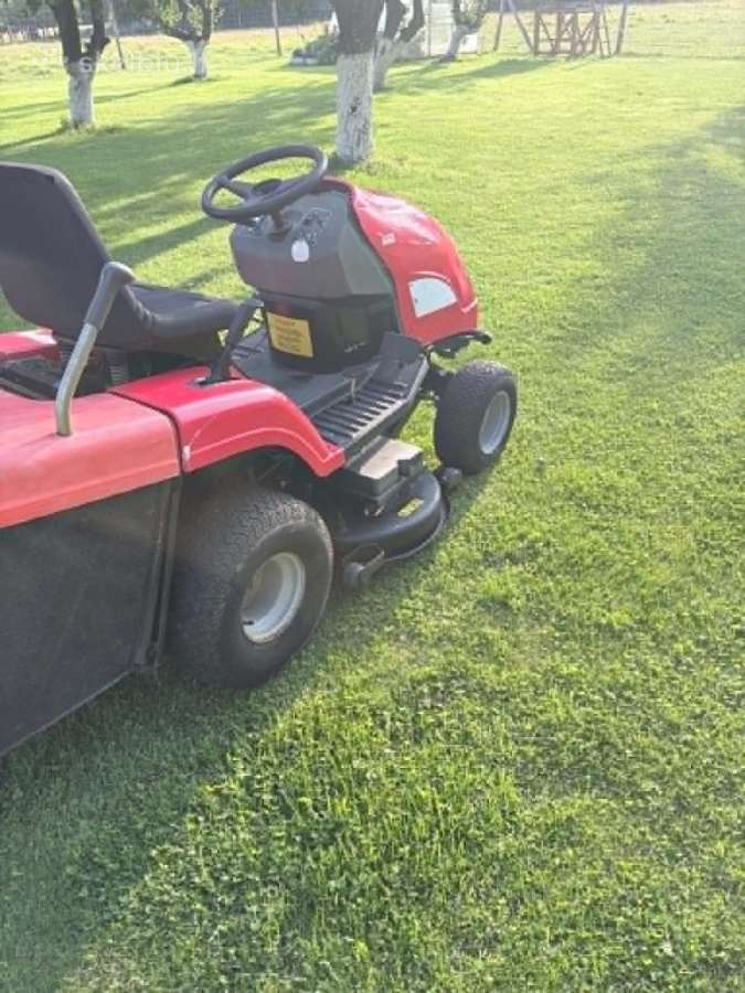 Lawn star - nuotraukos Nr. 3