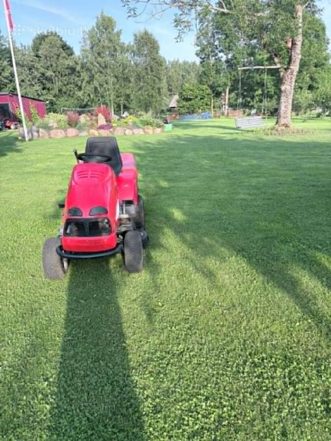 Lawn star - nuotraukos Nr. 4