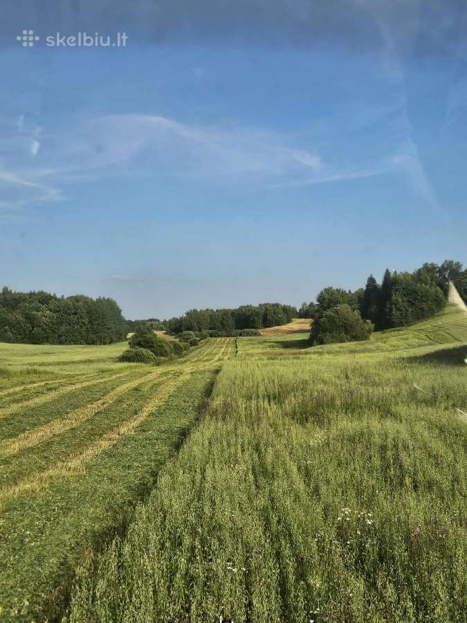 Ekologiškų pievų šienainis šienas, atlikti tyrimai - nuotraukos Nr. 2