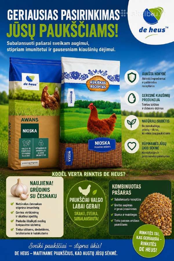 Pašarai vištoms - nuotraukos Nr. 2
