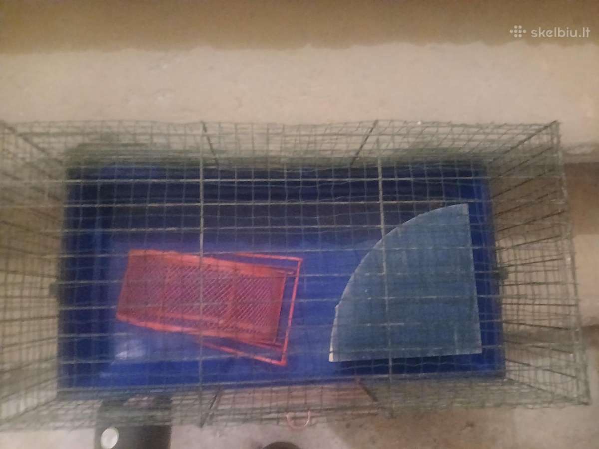 Narvas graužikui su nameliu ir bėgimo ratuku - nuotraukos Nr. 3
